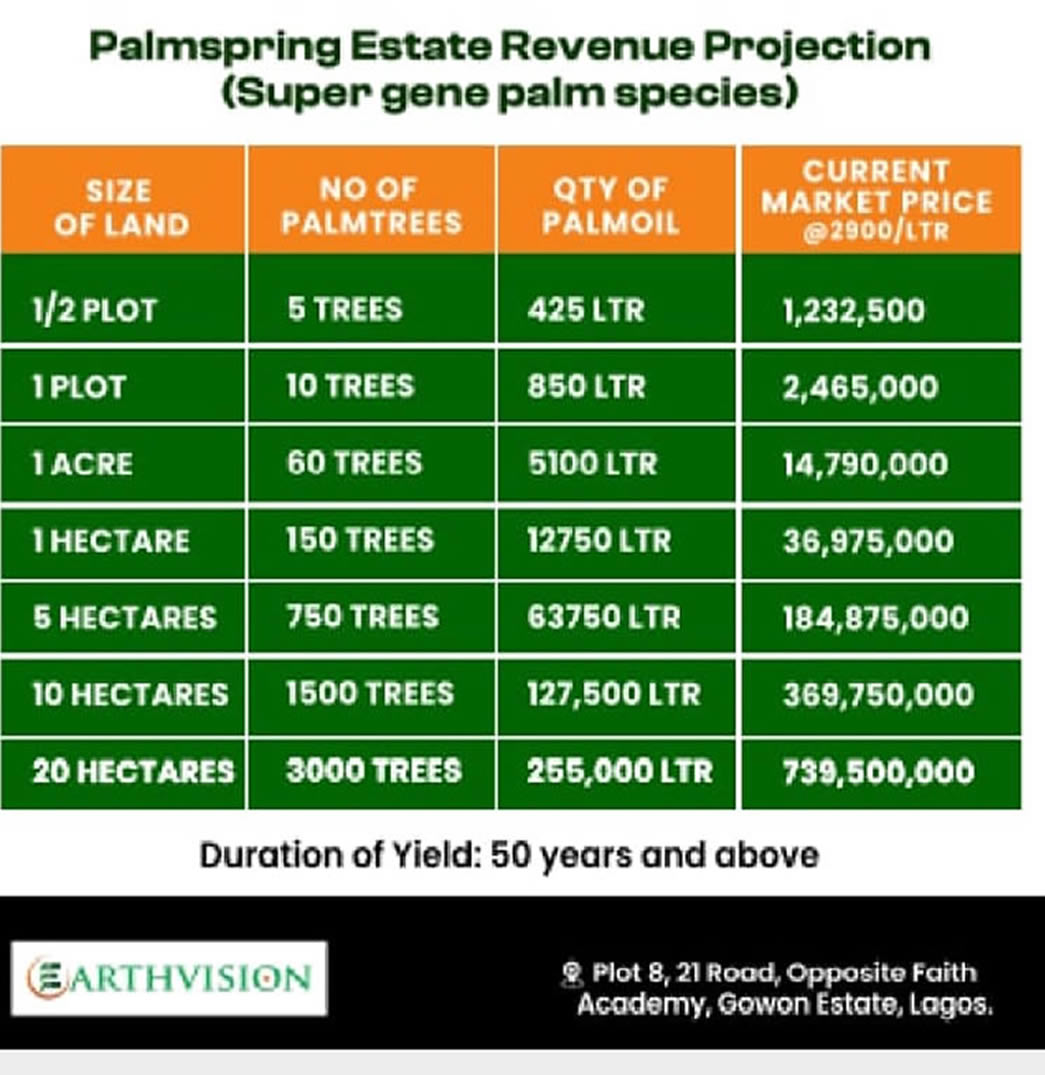 Revenue Projection for PalmSpring Estate